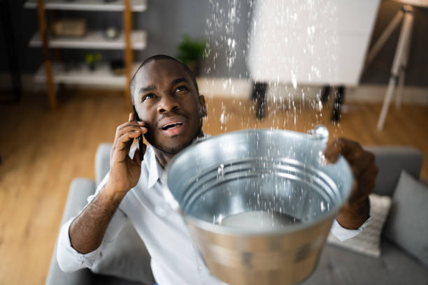 Best Ceiling water damage repair  in Iowa Falls, IA