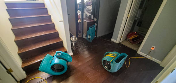 Best Residential water damage restoration  in Iowa Falls, IA