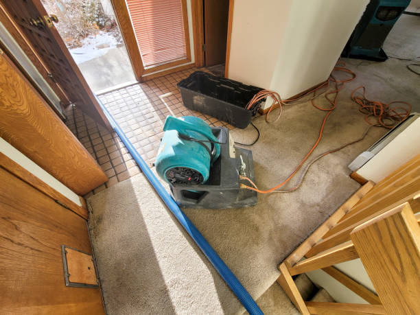Best Water damage cleanup near me  in Iowa Falls, IA