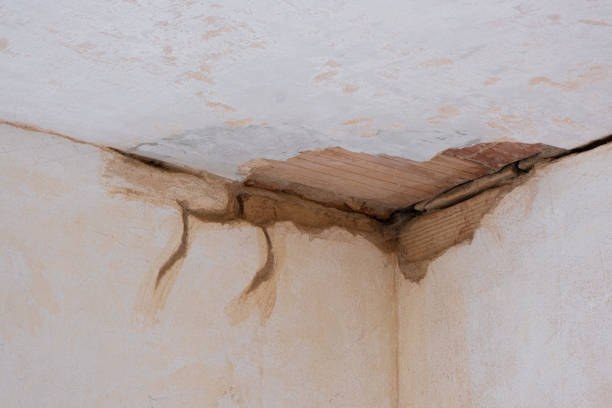 Best 24-hour water damage restoration  in Iowa Falls, IA
