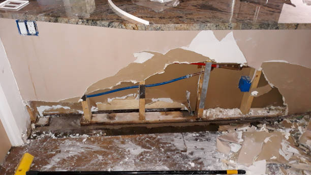Best Water damage restoration near me  in Iowa Falls, IA