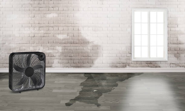 Trusted IA Water damage restoration Experts