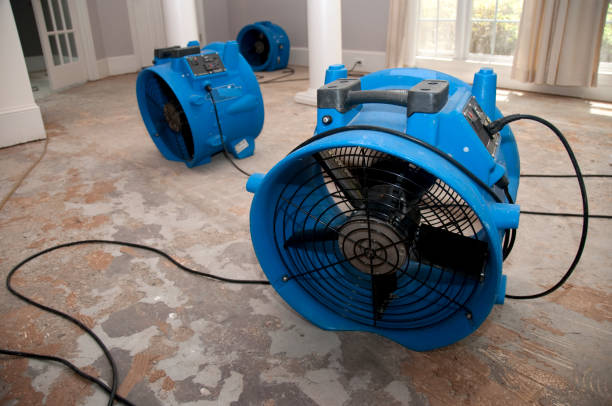 Best Water damage mitigation services  in Iowa Falls, IA