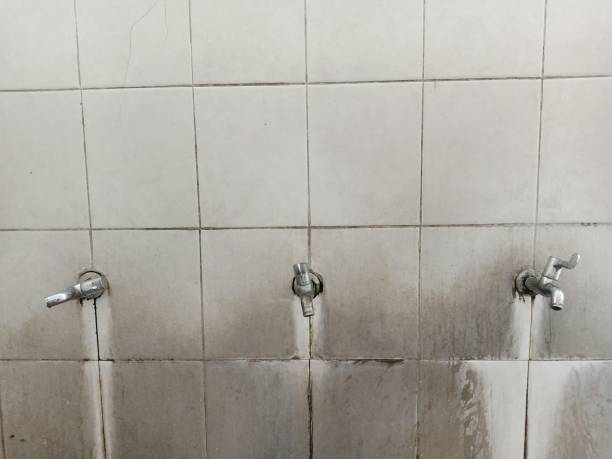 Best 24/7 water damage repair  in Iowa Falls, IA