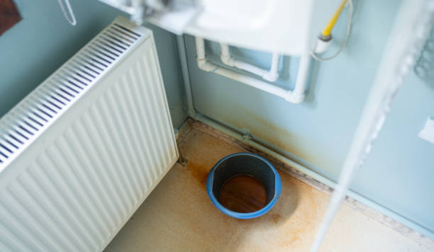  Iowa Falls, IA Water damage restoration Pros