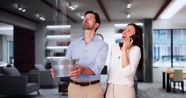 Best Basement water damage restoration  in Iowa Falls, IA