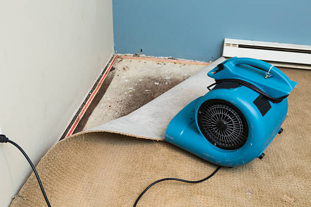 Best Fire Damage Restoration  in Iowa Falls, IA