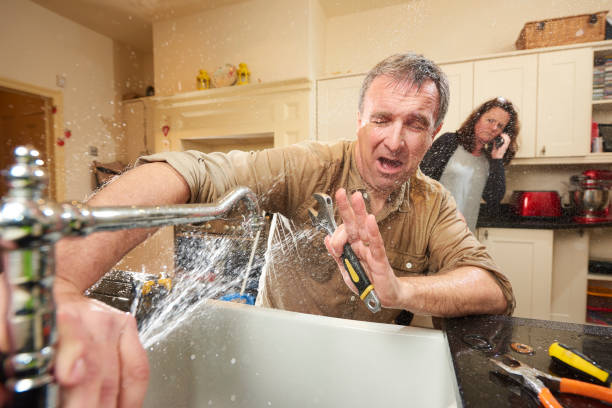 Best Water damage contractors near me  in Iowa Falls, IA